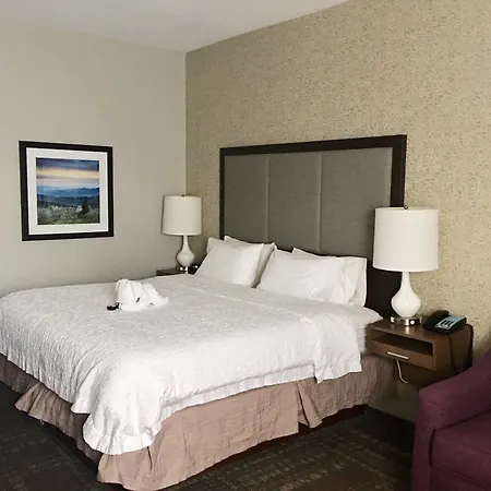 Hampton Inn Sevierville-3